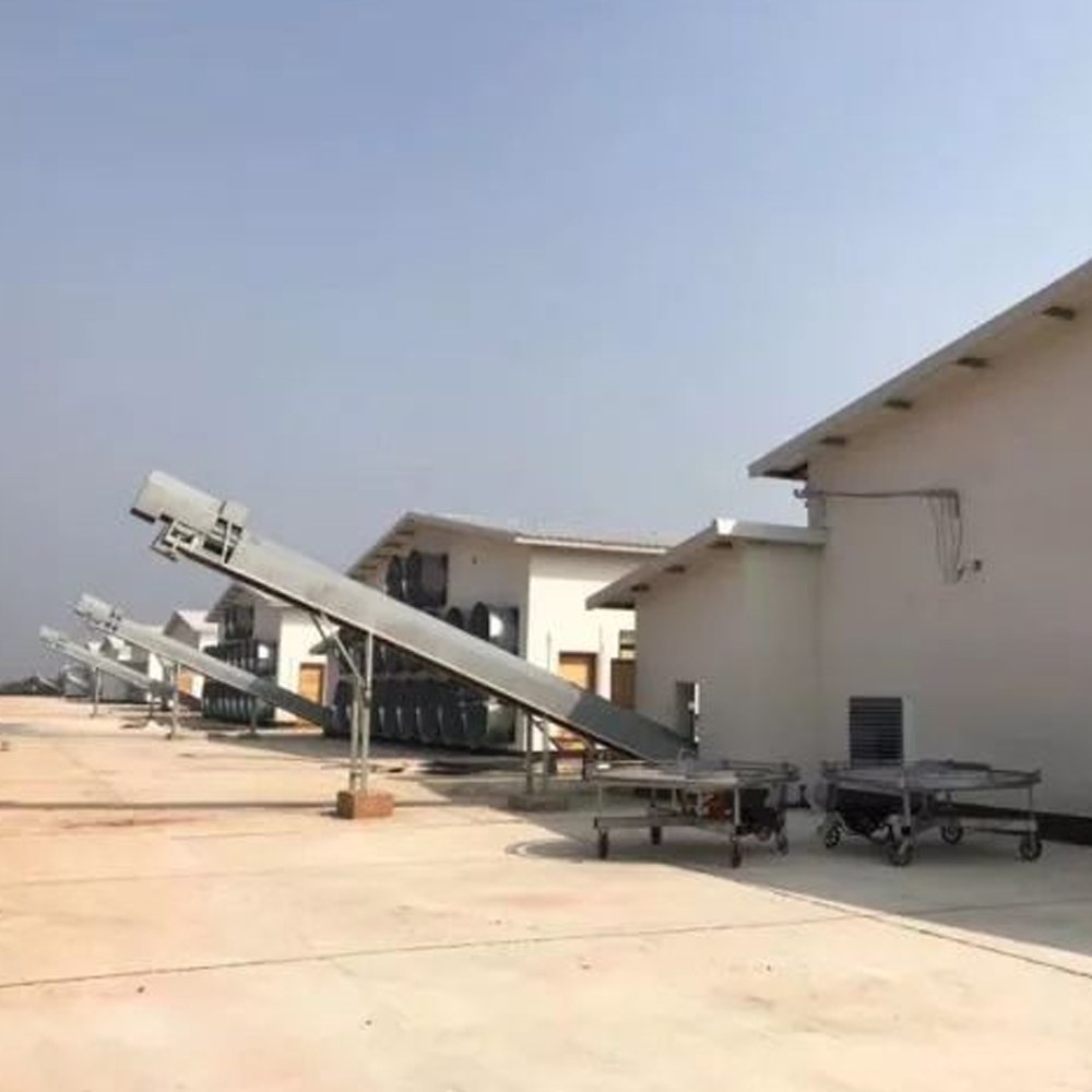 feed silo and exterior equipment