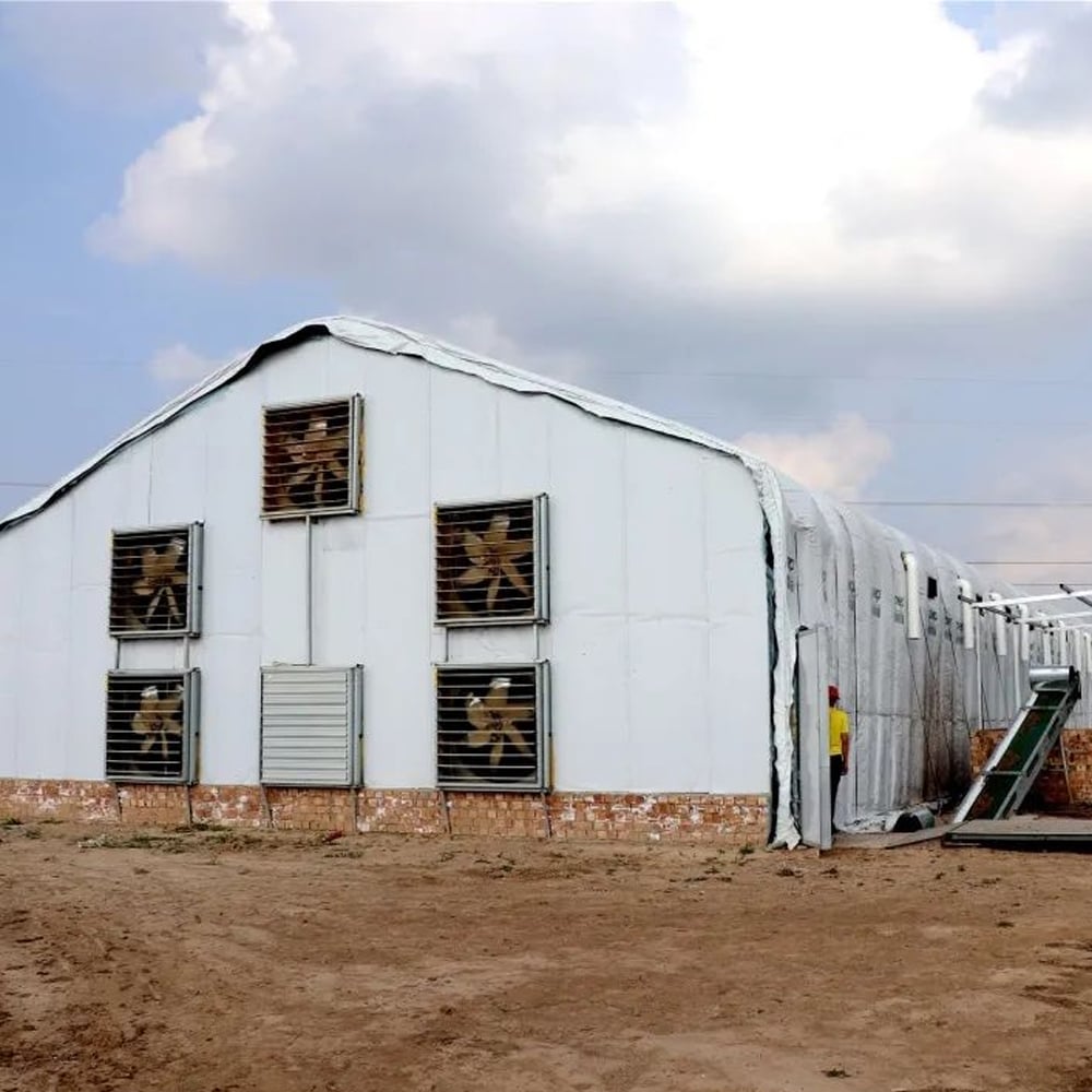 Poultry house exterior for breeder chicken project