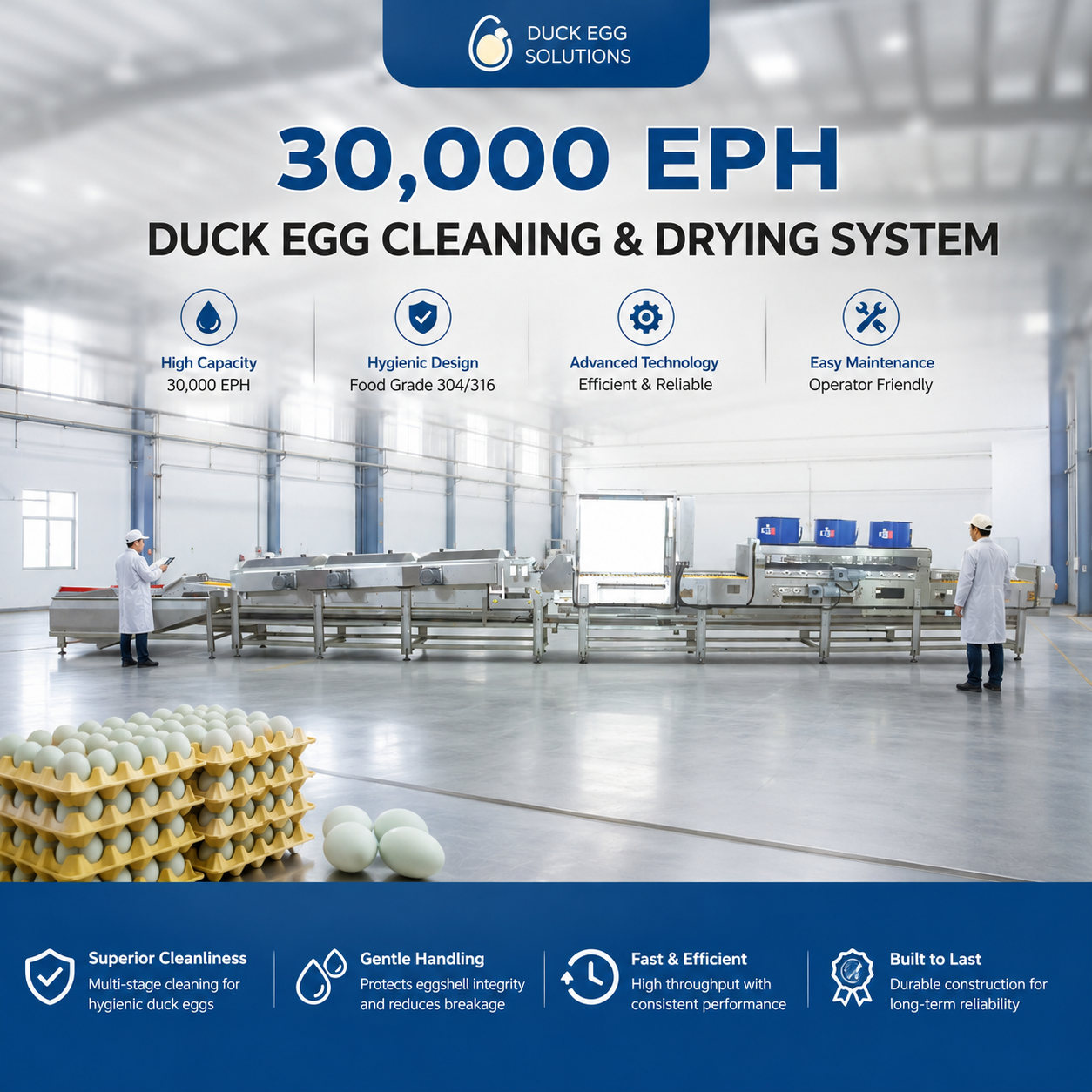 Integrated Duck Egg Cleaning Line with Multi-Stage Drying