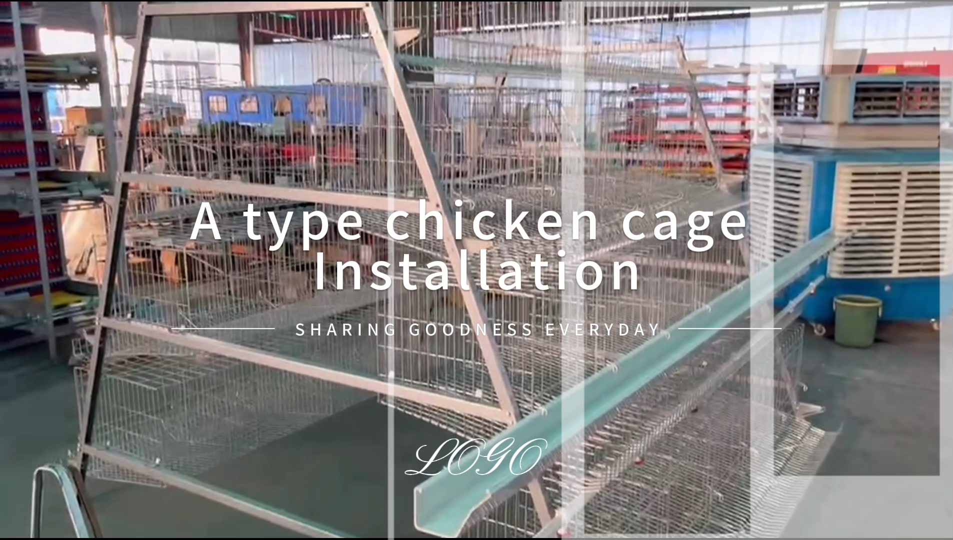 Type A chicken cage installation