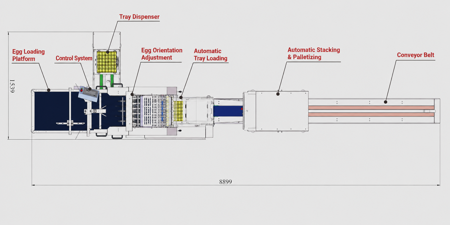 3.6W farm egg packing machine layout