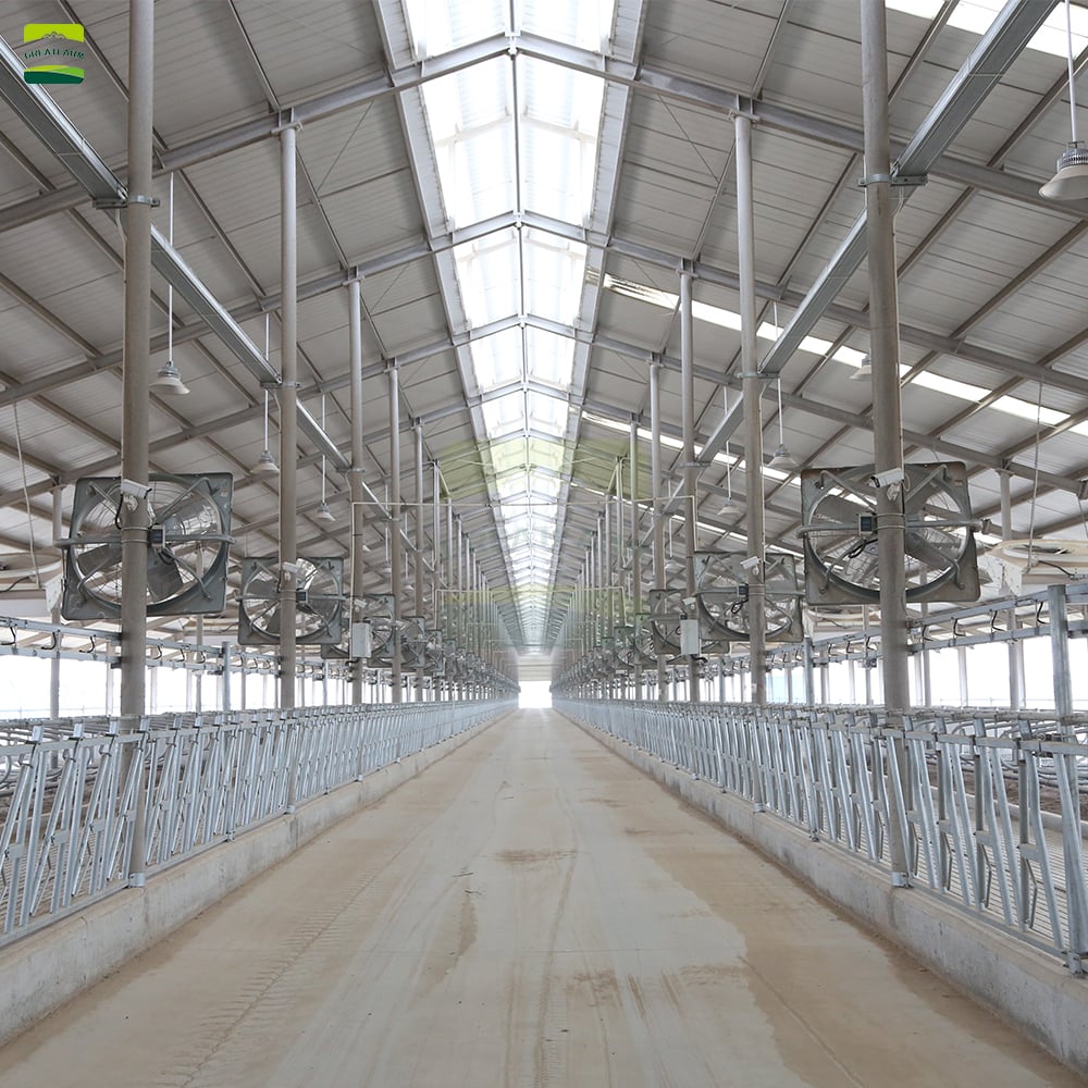 5000 beef cattle farm overall layout