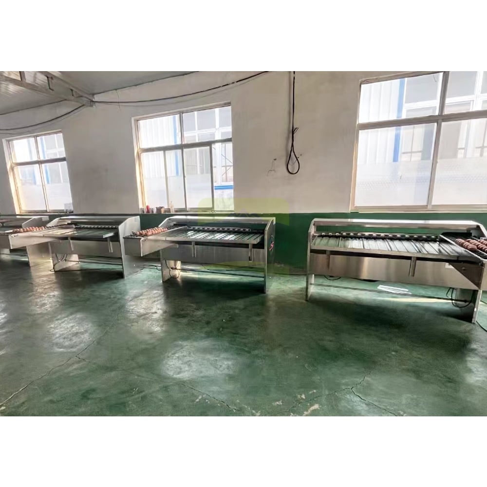 Egg Sorting Machine Detail