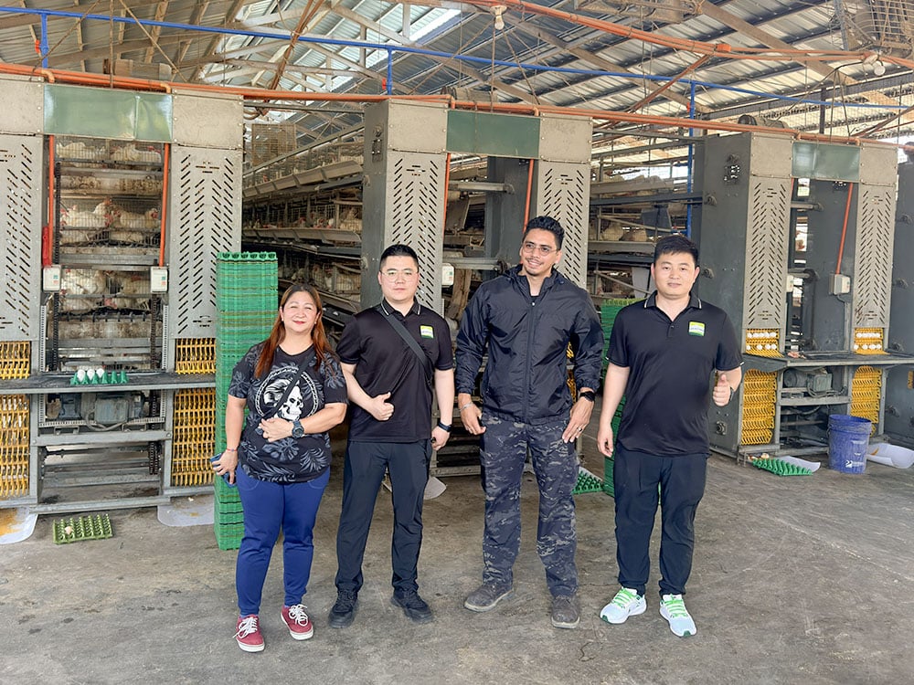 Philippines 25,000 Laying Hen Cage Raising Project