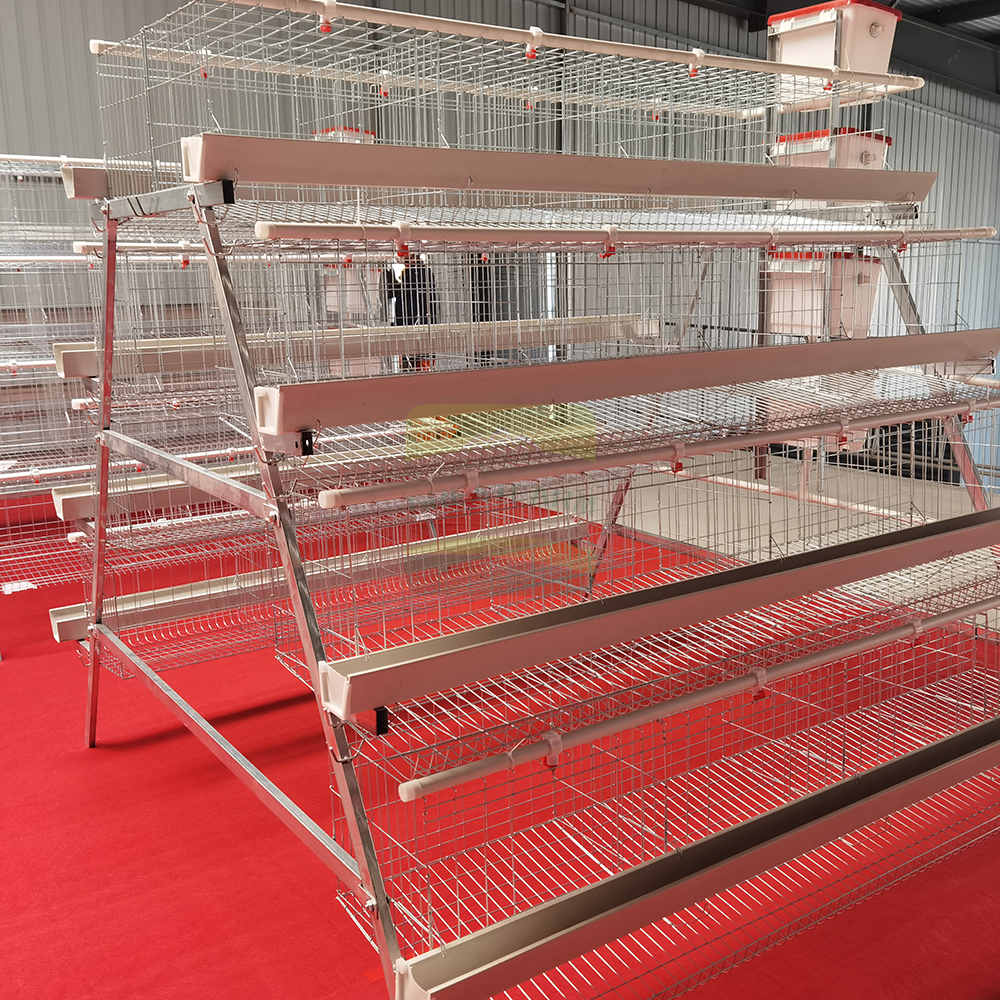 Automated Feeding and Watering Infrastructure
