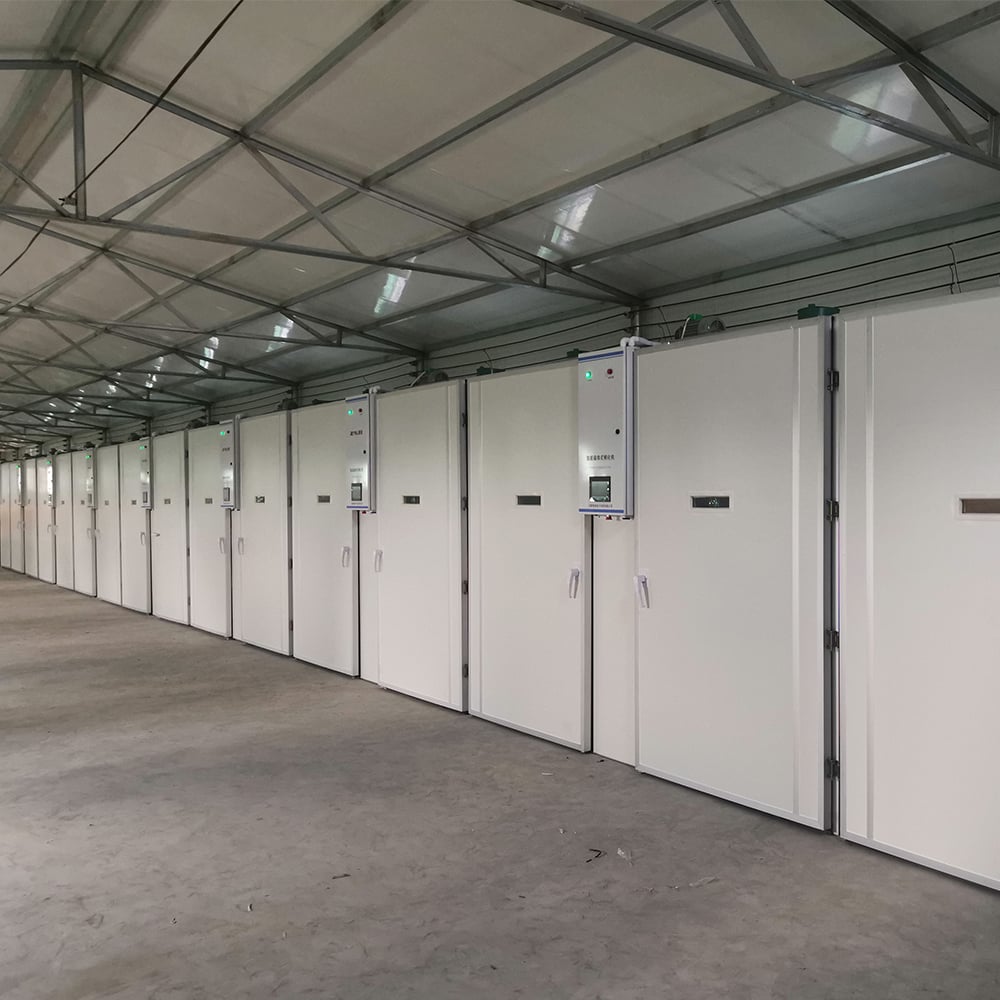 Double door tunnel incubator