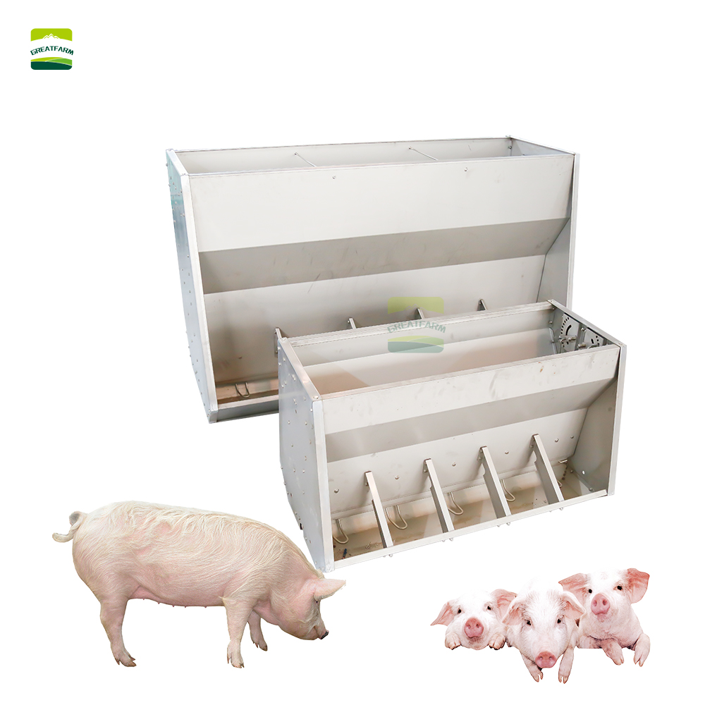 Operational Efficiency and Labor Optimization