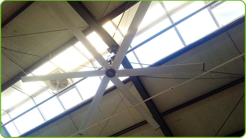 Large Ceiling Fan