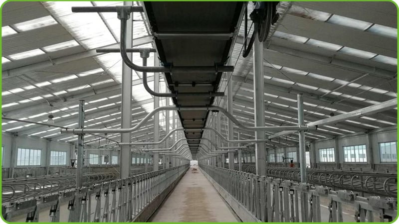 Conveyor Automatic Feeding System - 02