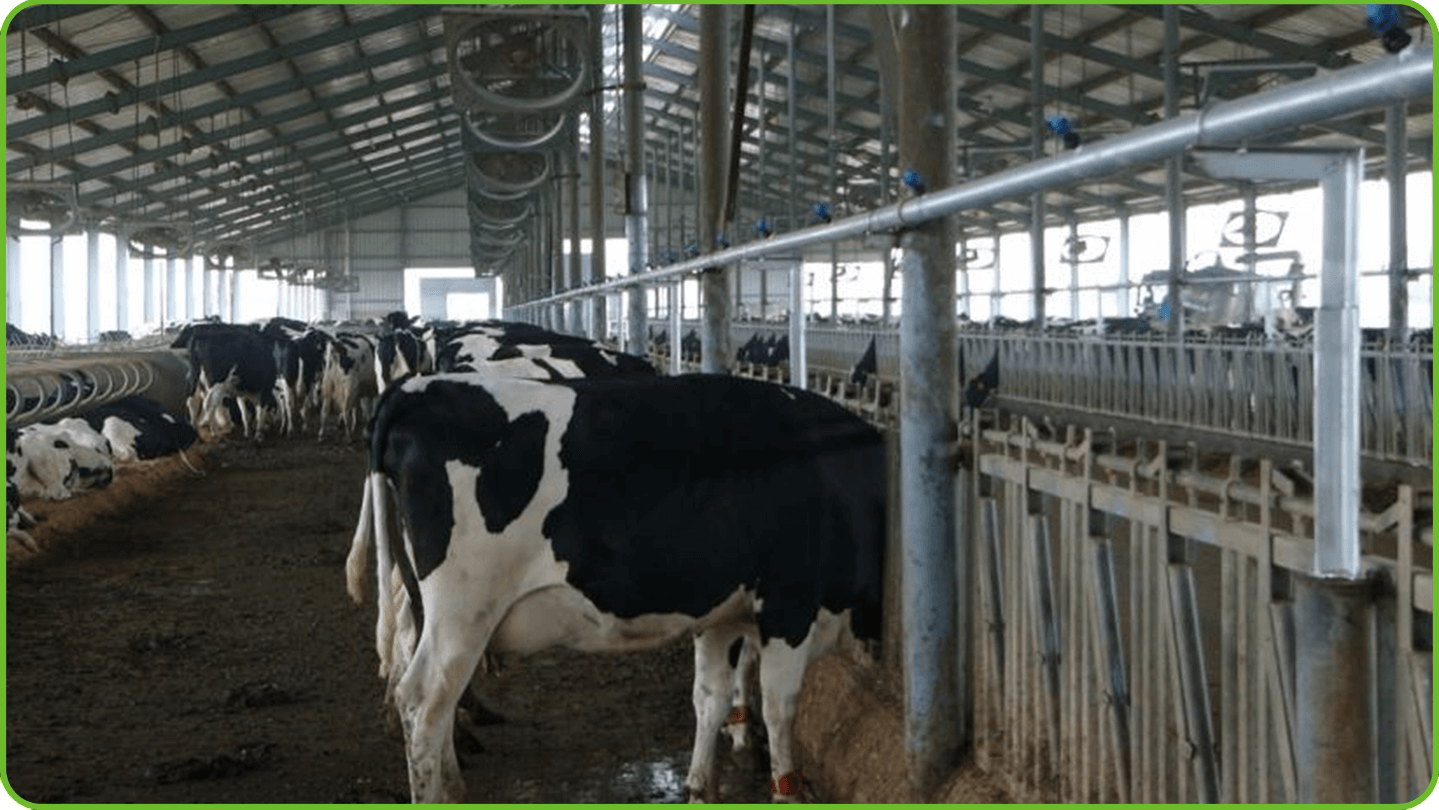 Intelligent Spraying System