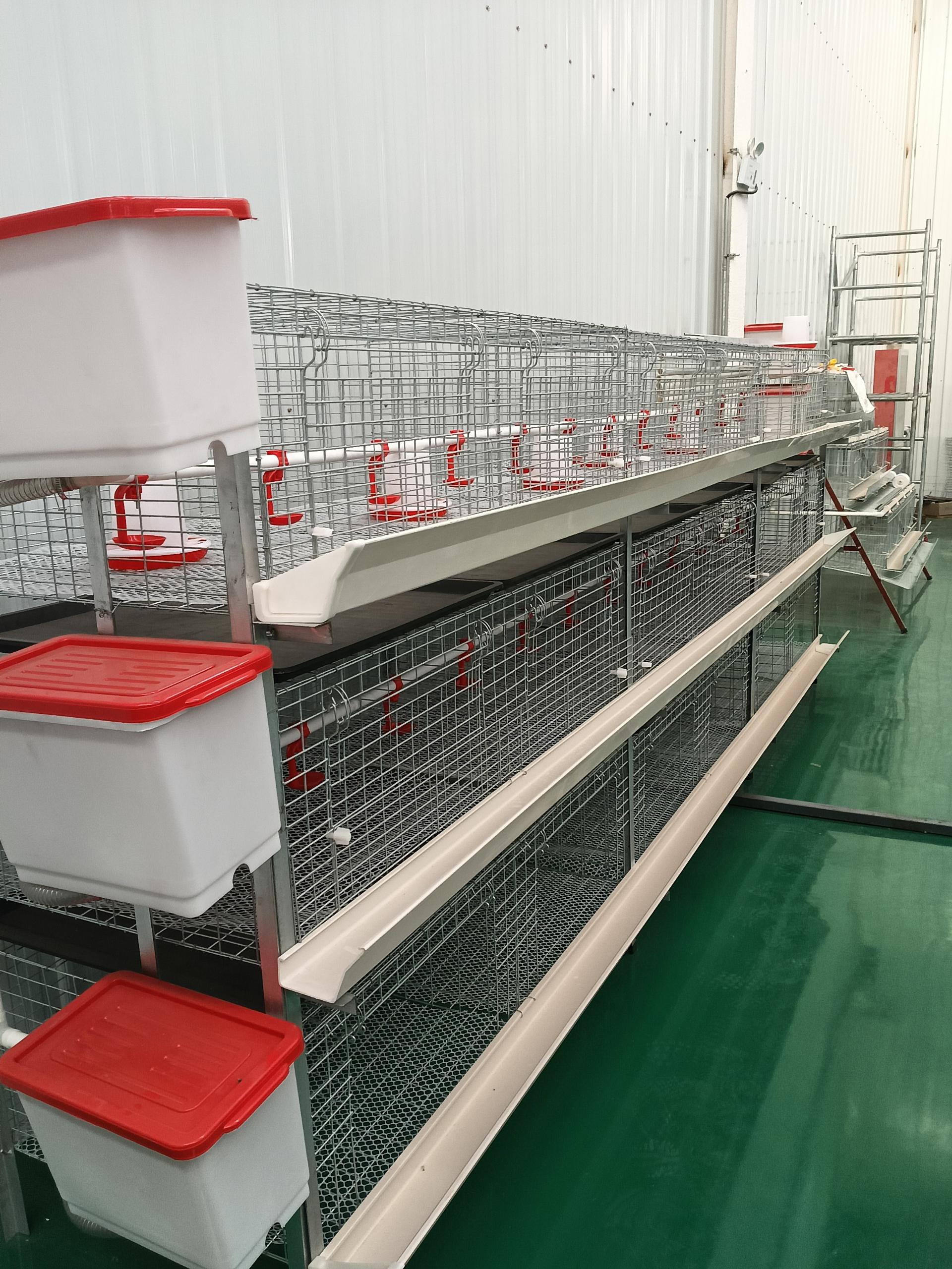 Durability and Maintenance Efficiency