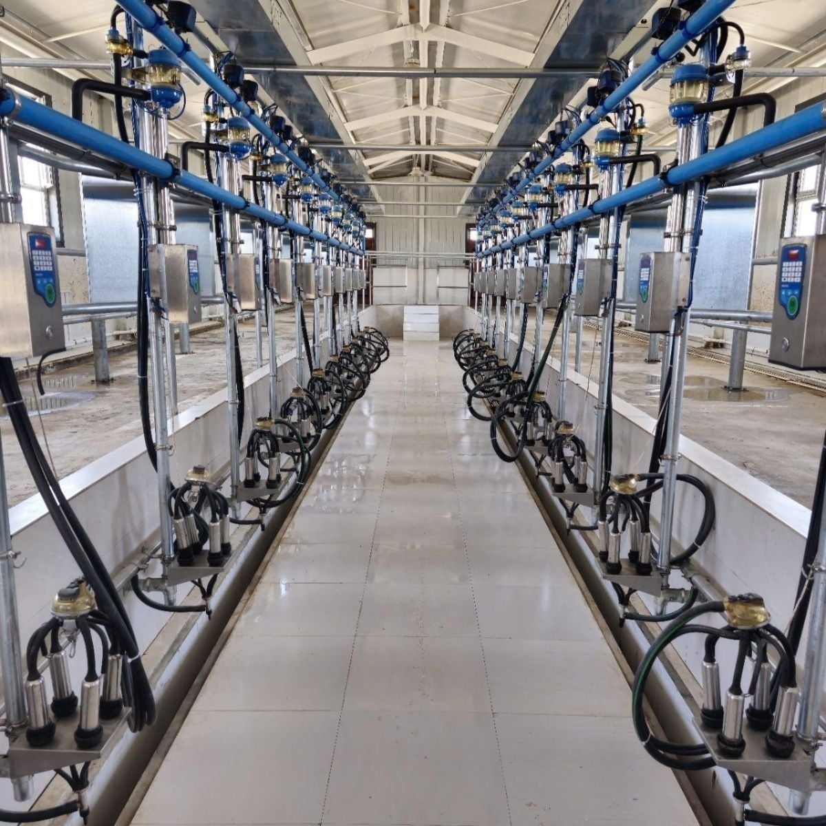 dairy barn ventilation and cooling system