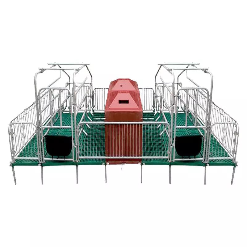 Chinese Style Sow Farrowing Crate