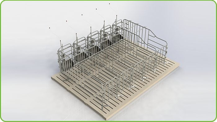 Individual Stall