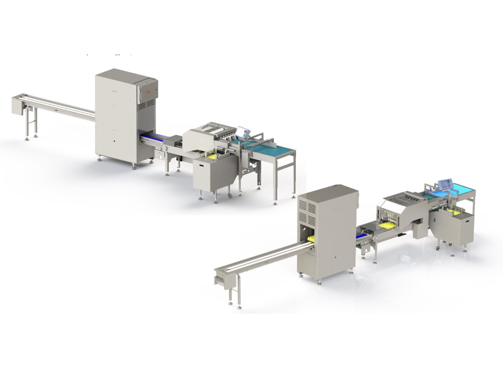 3.6W Farm Egg Packing Machine for Automatic Tray Packing