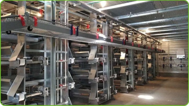 Egg Collection & Handling System