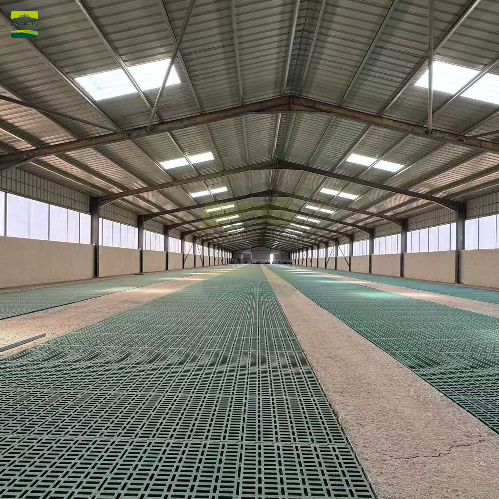 Sheep floor and manure system