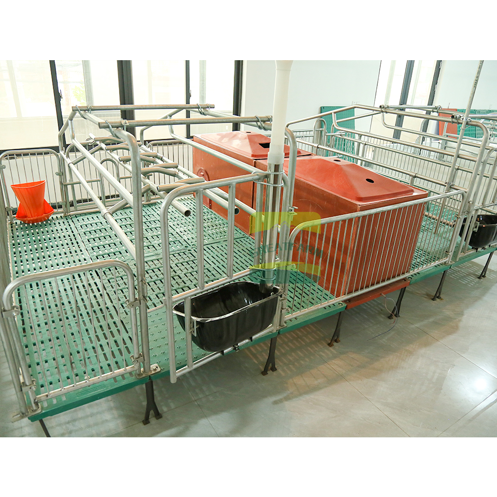 Enhanced Piglet Protection and Survival