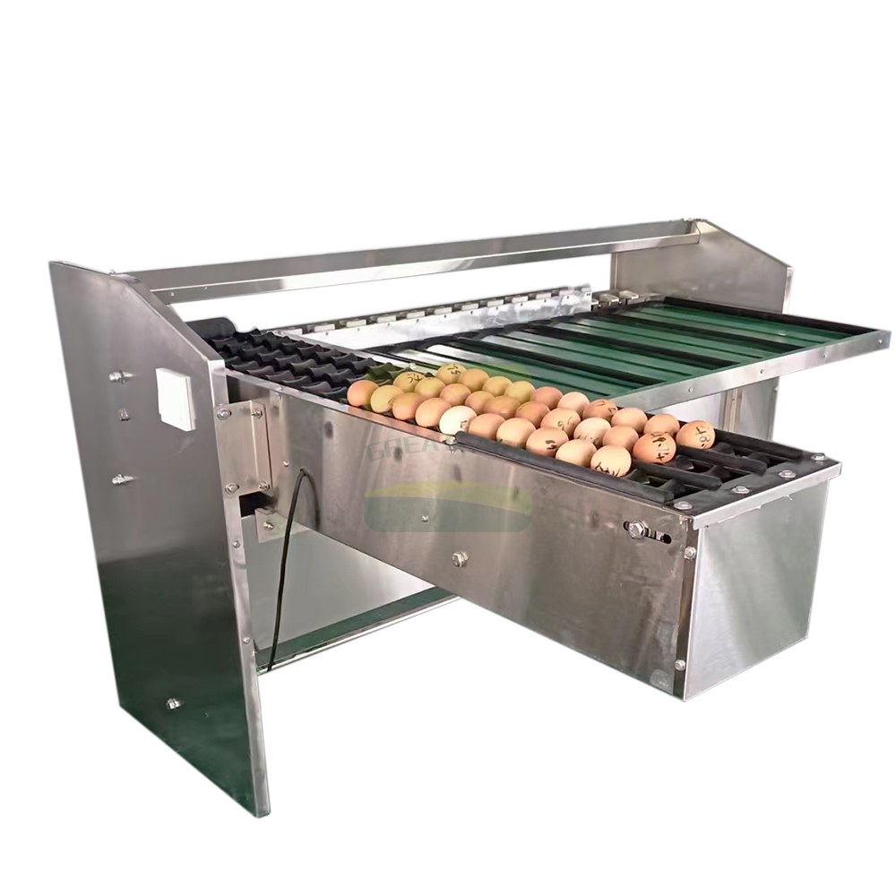 Egg Grading Machine