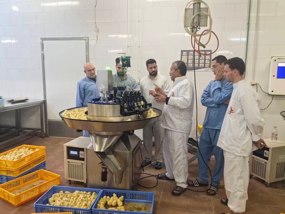 Revolutionizing Egypt’s Poultry Industry: GREAT FARM’s Laser Debeaking & Vaccination Project