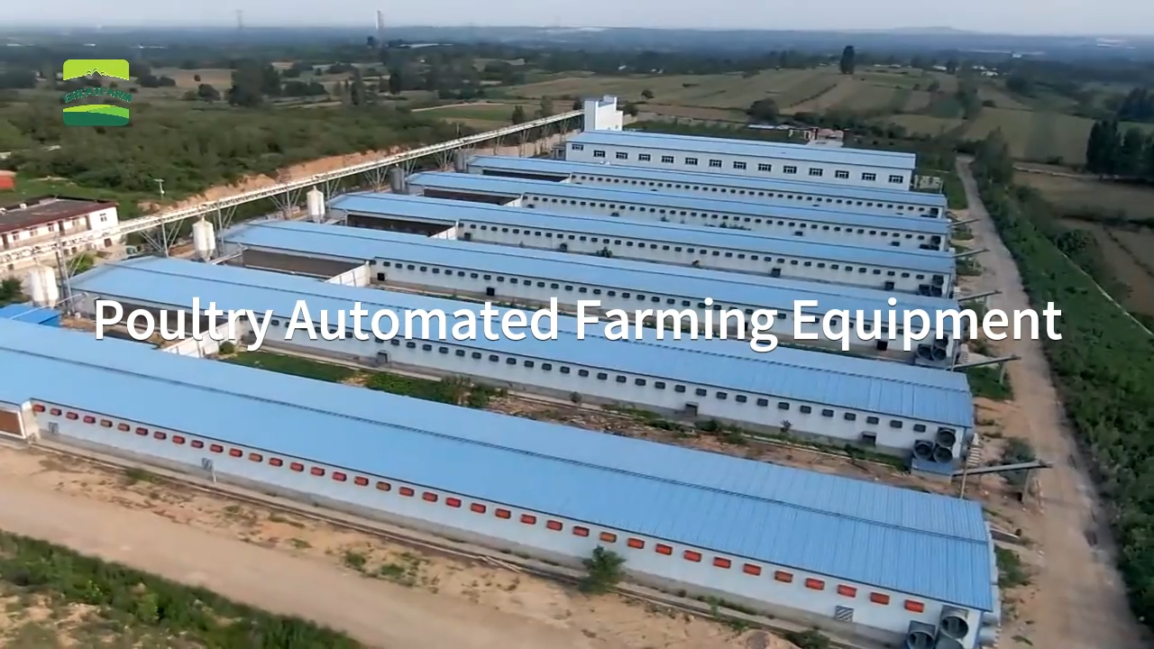 Poultry automated farming equipment