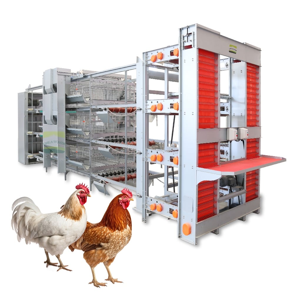 Customized Large-Scale Layer Cage System - Fully Automatic H-Type Chicken Housing for Commercial Egg Farms