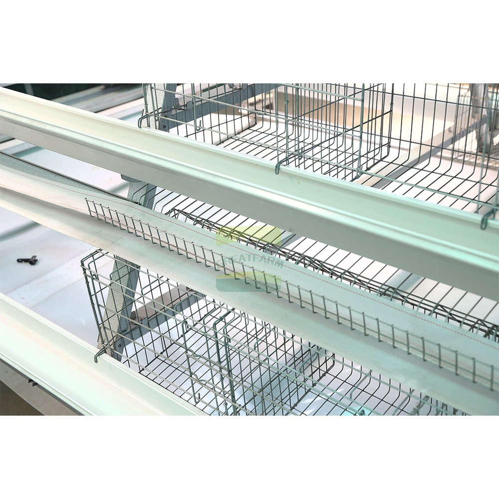 Egg Collection and Cage Detail