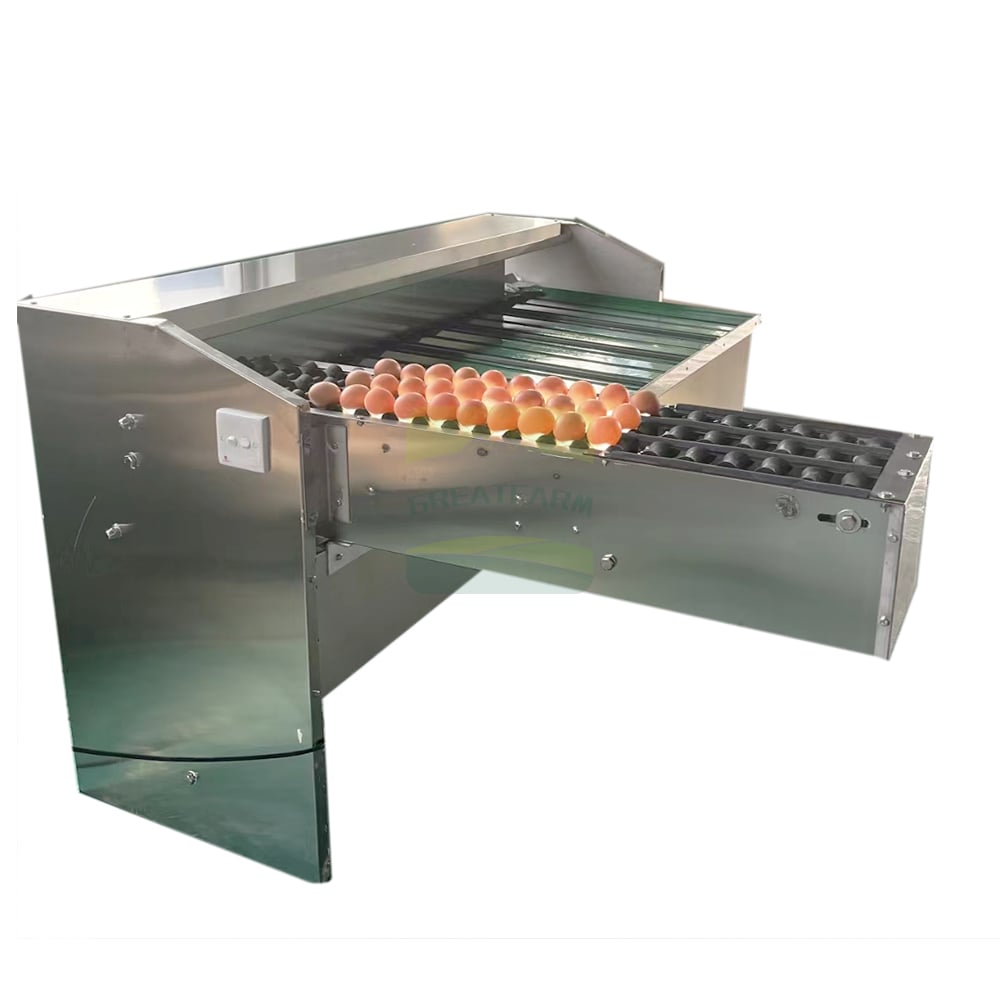 Egg Grading Outlet