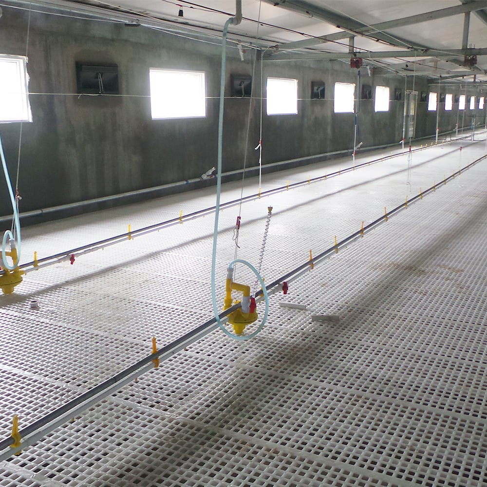 Plastic slat floor and nipple drinking line for poultry breeder house