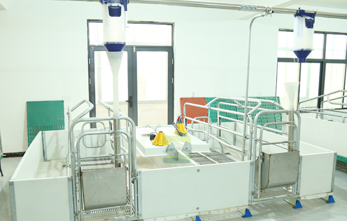 Farrowing Crates For Pigs