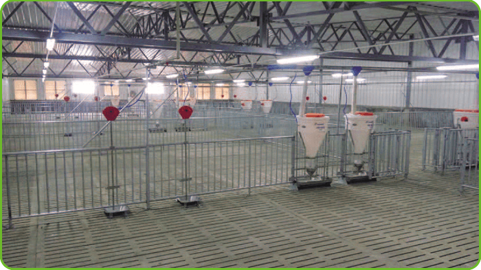 Galvanized fattening pig pen system illustration