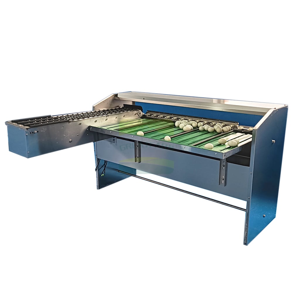 Egg Sorting Machine with White Eggs