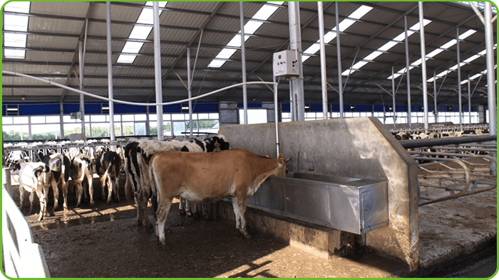 Detachable Water Trough