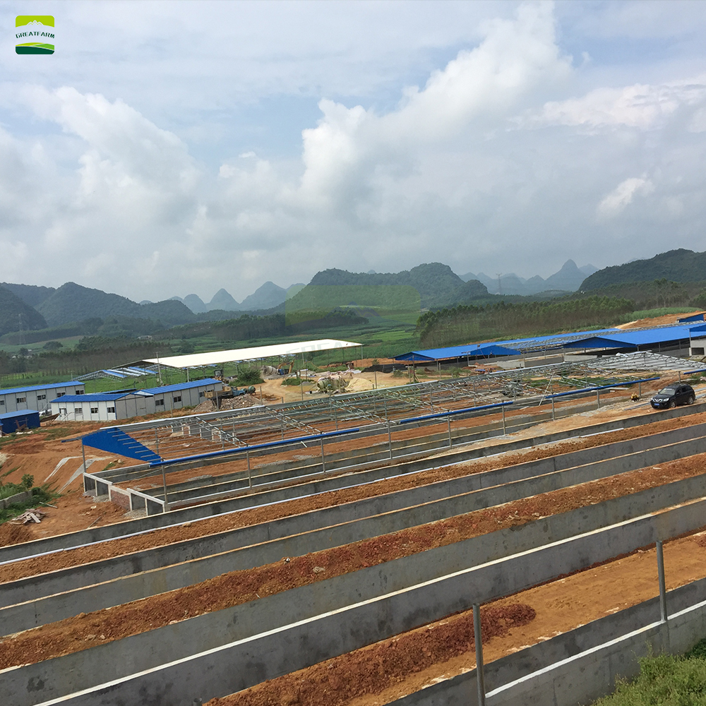 500 Sow Farming Solution