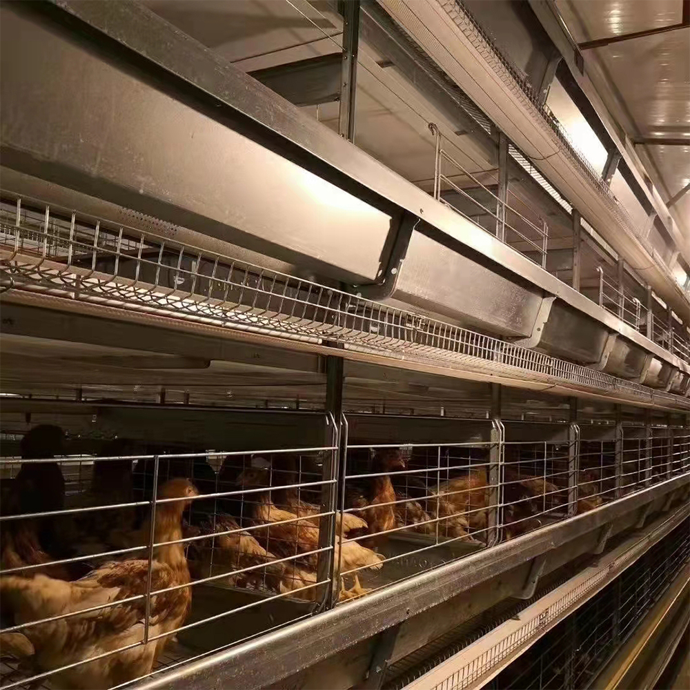 Hygienic Design and Feed Quality Preservation
