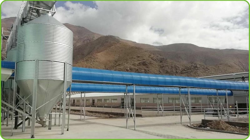 Conveyor Automatic Feeding System - 01