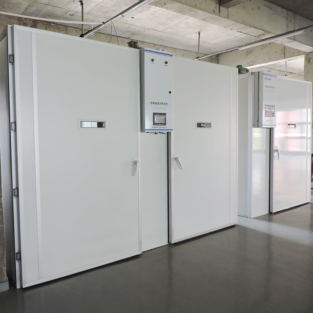 Incubator production line arrangement