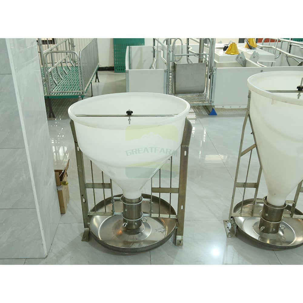 Enhanced Hygiene and Disease Prevention