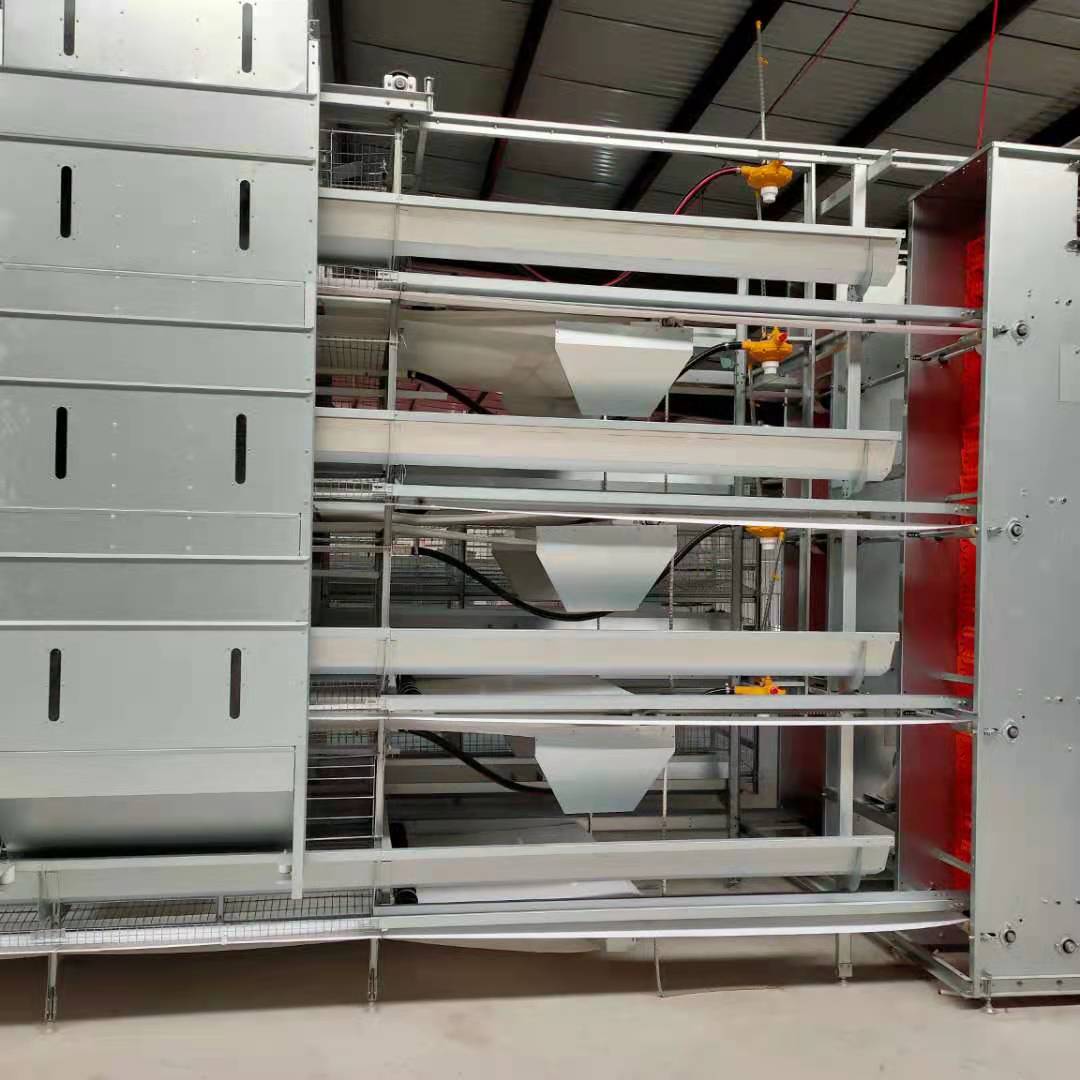 دمج الأتمتة وتعزيز كفاءة الإنتاج
