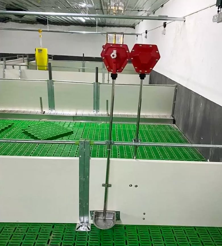 Drinking water system for fattening pig house