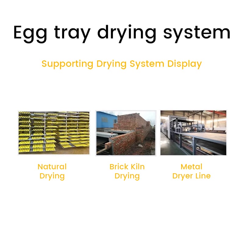 Egg tray drying system display with natural drying, brick kiln drying and metal dryer line