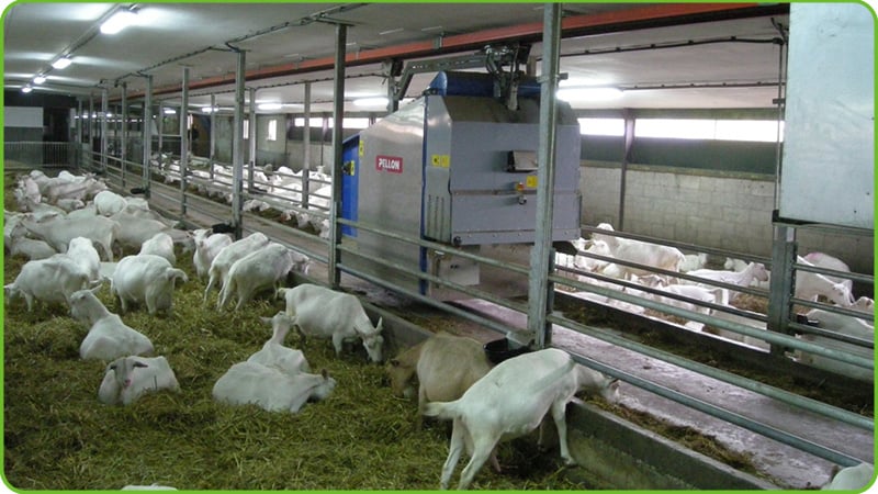Smart Feeding System for Sheep Farm Projects