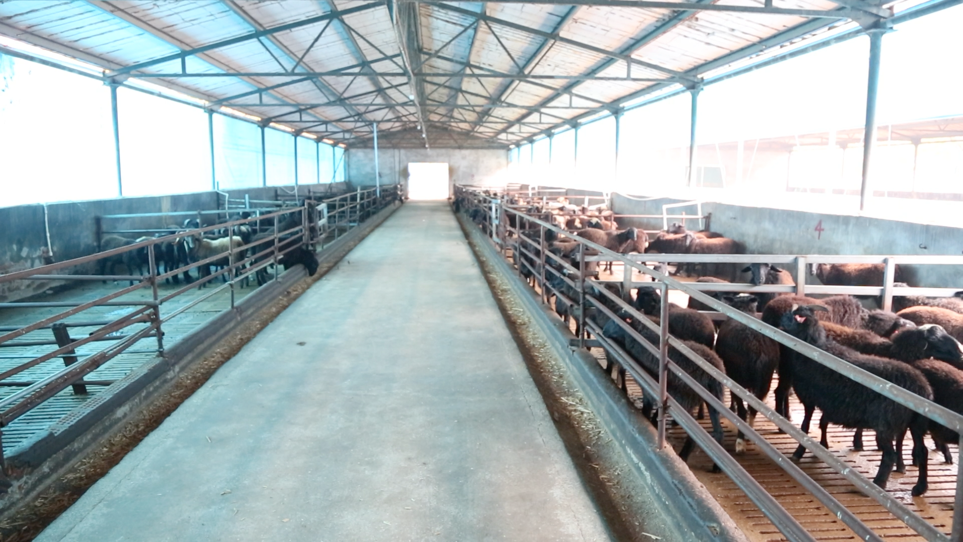 10000 goat farm project overview