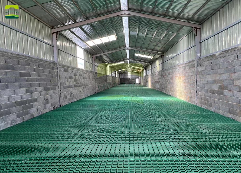goat slatted floor and manure system