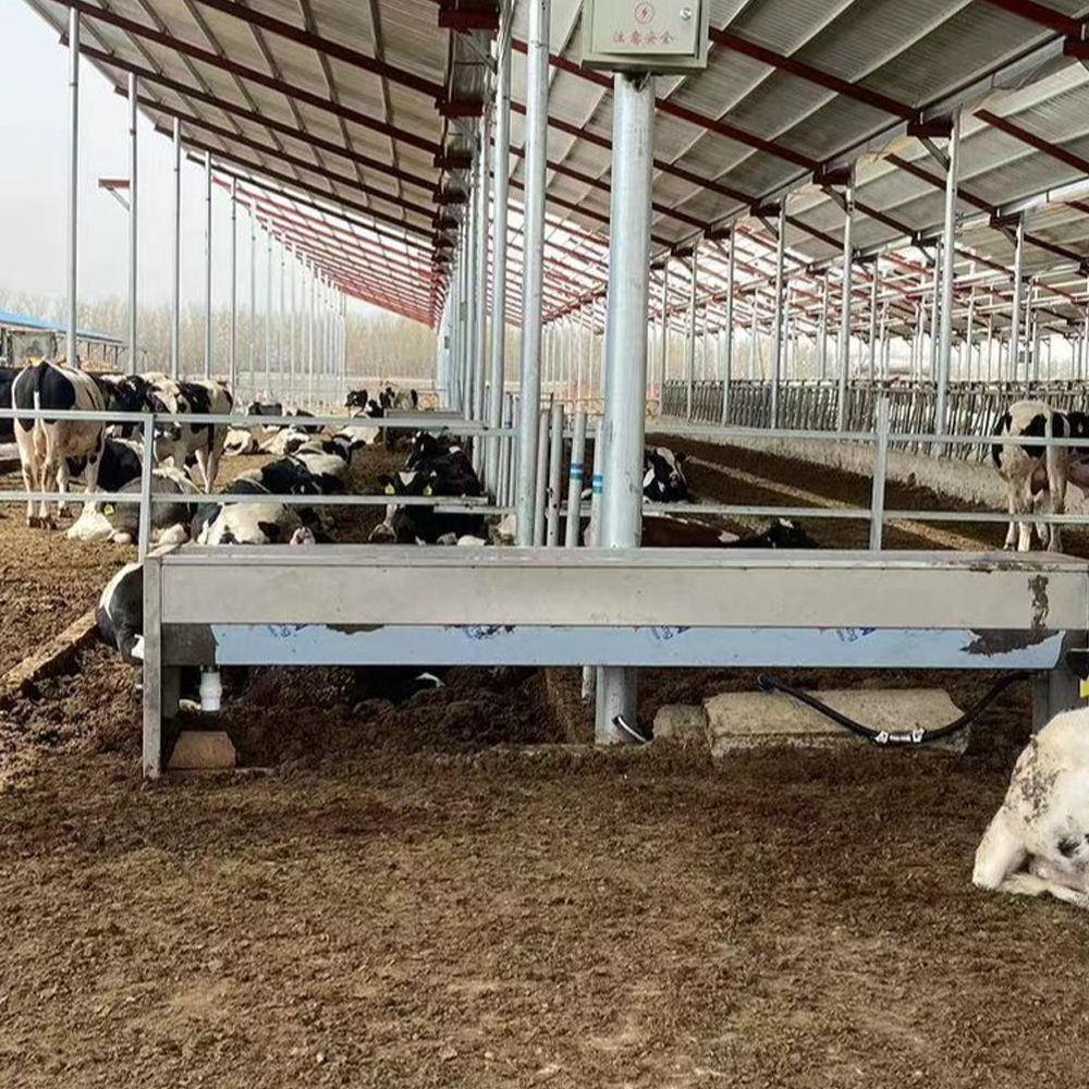 Automatic cow drinking system