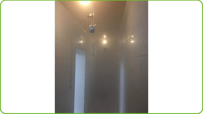 In-House Disinfection
