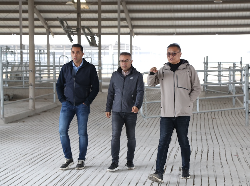 Modernizing Dairy Production—1,000 Head Dairy Cow Project in Mongolia