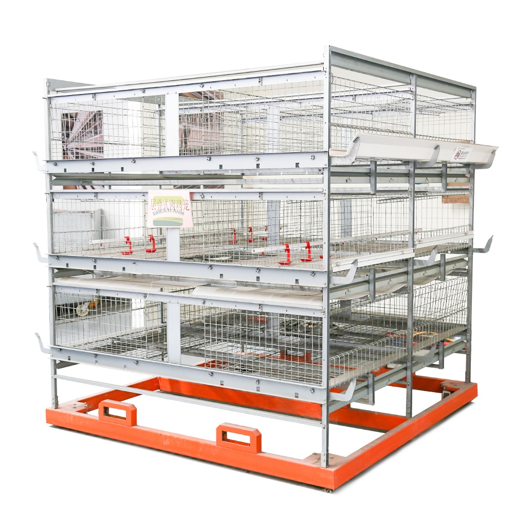 Layer Cage Body and Feeding Trough