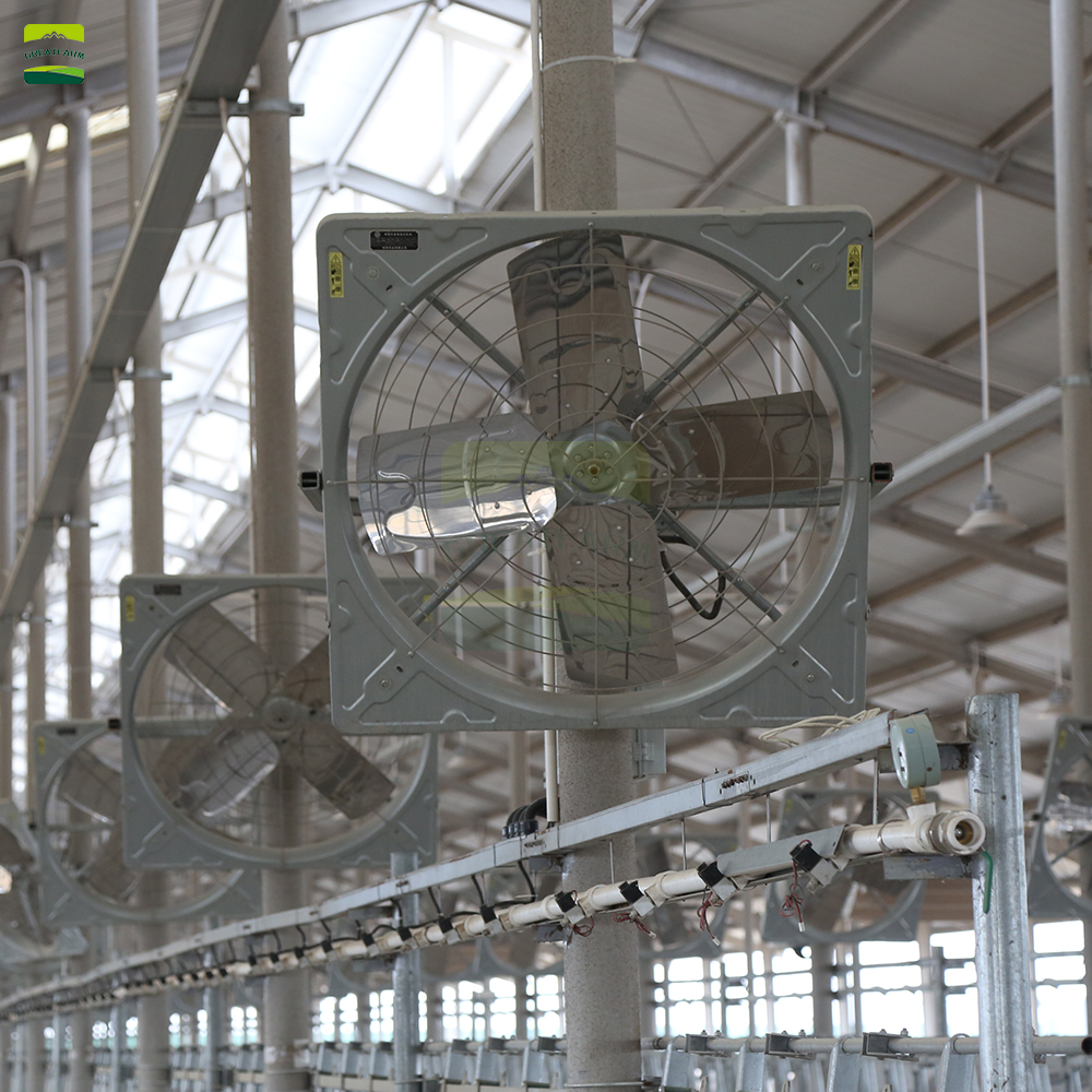 Beef cattle climate control system
