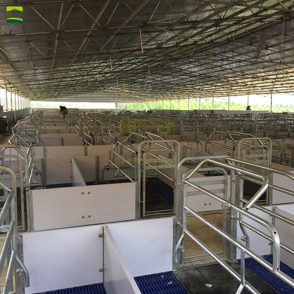 Farrowing crate system illustration